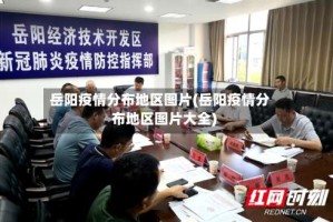 岳阳疫情分布地区图片(岳阳疫情分布地区图片大全)