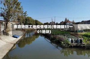 曹路地区工地疫情情况(曹路镇11一01地块)