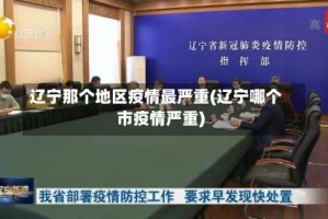 辽宁那个地区疫情最严重(辽宁哪个市疫情严重)