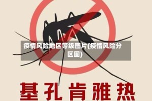 疫情风险地区等级图片(疫情风险分区图)