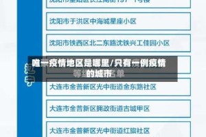 唯一疫情地区是哪里/只有一例疫情的城市