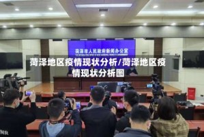 菏泽地区疫情现状分析/菏泽地区疫情现状分析图
