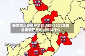 去年东北疫情严重的地区/2021年东北疫情严重的城市叫什么