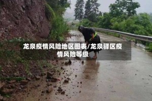 龙泉疫情风险地区图表/龙泉驿区疫情风险等级