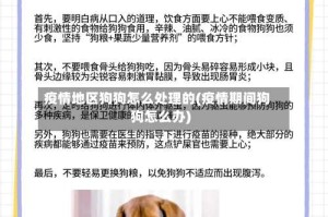 疫情地区狗狗怎么处理的(疫情期间狗狗怎么办)