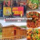 去云浮如何报备疫情地区/云浮防疫要求