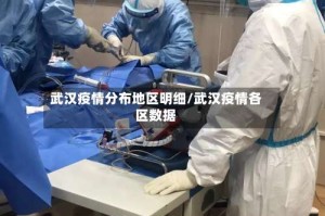 武汉疫情分布地区明细/武汉疫情各区数据