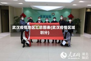 武汉疫情地区汇总图表(武汉疫情区域划分)