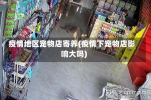 疫情地区宠物店寄养(疫情下宠物店影响大吗)