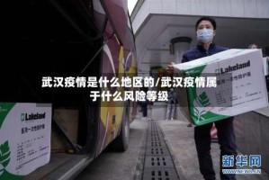 武汉疫情是什么地区的/武汉疫情属于什么风险等级