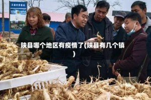 陕县哪个地区有疫情了(陕县有几个镇)