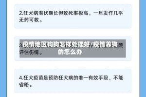 疫情地区狗狗怎样处理好/疫情养狗的怎么办
