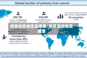 疫情初发地区是哪里/疫情原发地是哪里