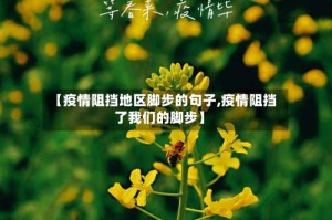 【疫情阻挡地区脚步的句子,疫情阻挡了我们的脚步】