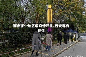 西安哪个地区呢疫情严重/西安哪有疫情