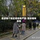 西安哪个地区呢疫情严重/西安哪有疫情