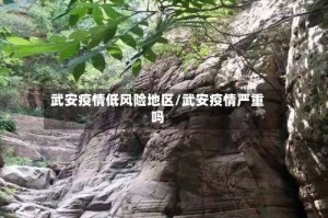 武安疫情低风险地区/武安疫情严重吗