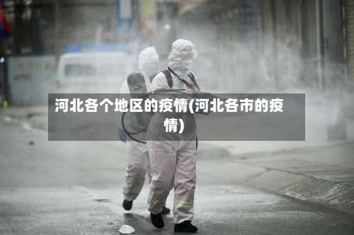 河北各个地区的疫情(河北各市的疫情)-第2张图片
