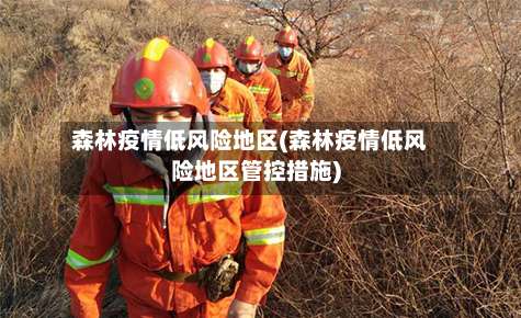 森林疫情低风险地区(森林疫情低风险地区管控措施)-第1张图片
