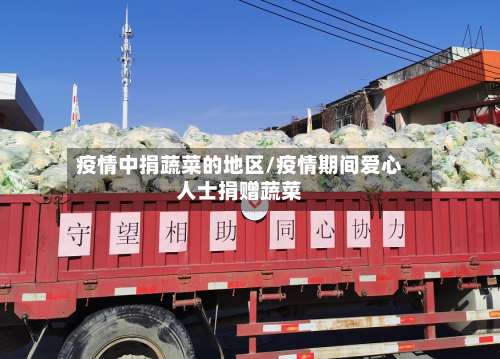 疫情中捐蔬菜的地区/疫情期间爱心人士捐赠蔬菜-第1张图片
