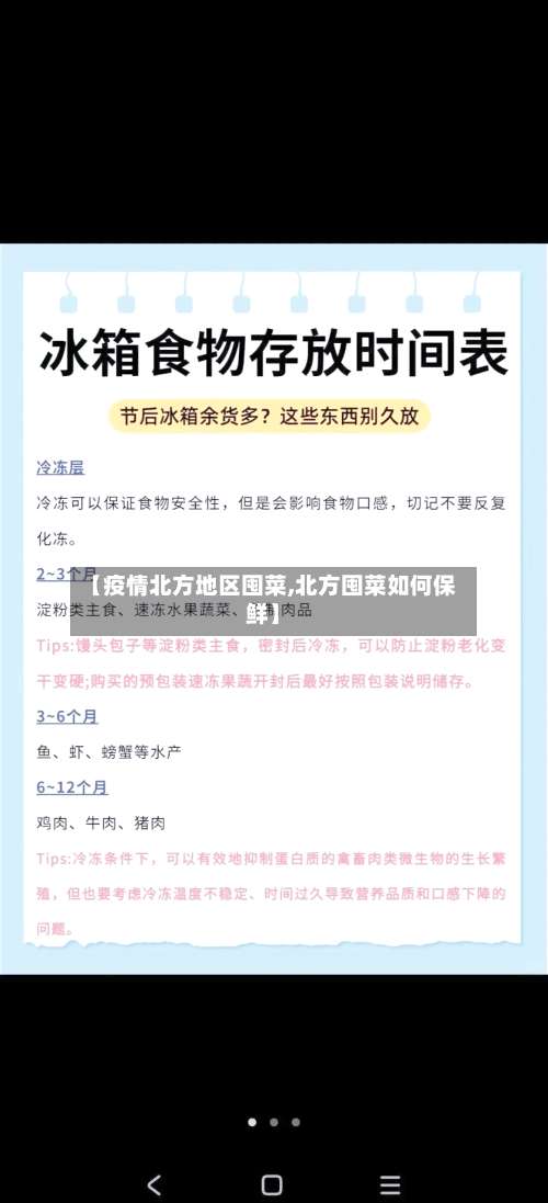 【疫情北方地区囤菜,北方囤菜如何保鲜】-第1张图片
