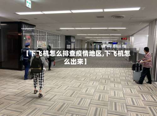【下飞机怎么排查疫情地区,下飞机怎么出来】-第1张图片