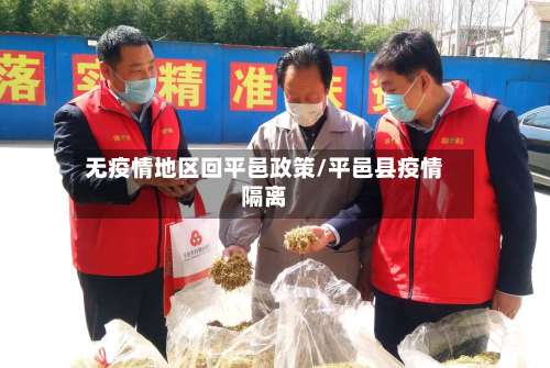 无疫情地区回平邑政策/平邑县疫情隔离-第1张图片