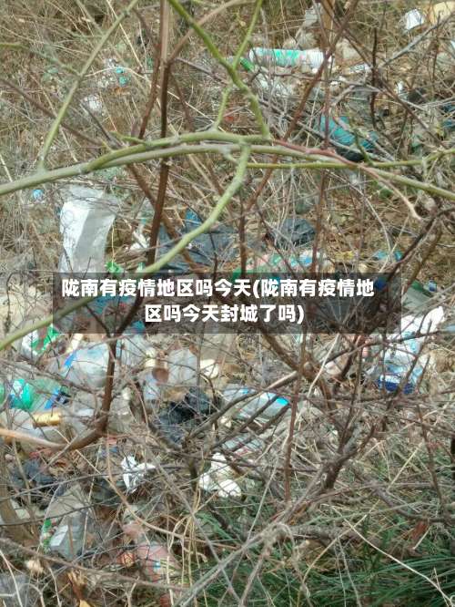 陇南有疫情地区吗今天(陇南有疫情地区吗今天封城了吗)-第3张图片