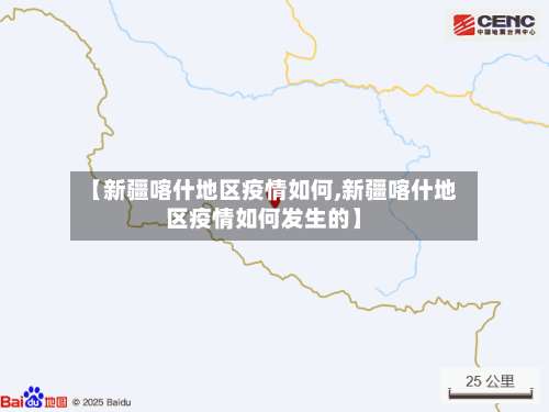【新疆喀什地区疫情如何,新疆喀什地区疫情如何发生的】-第3张图片