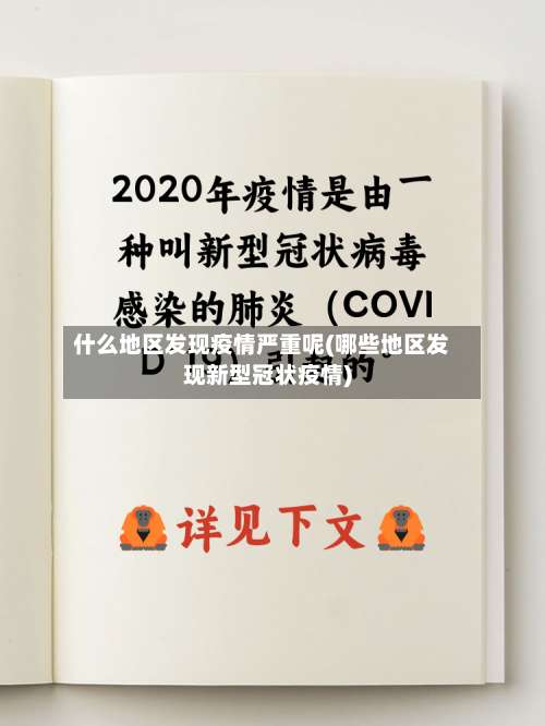 什么地区发现疫情严重呢(哪些地区发现新型冠状疫情)-第1张图片