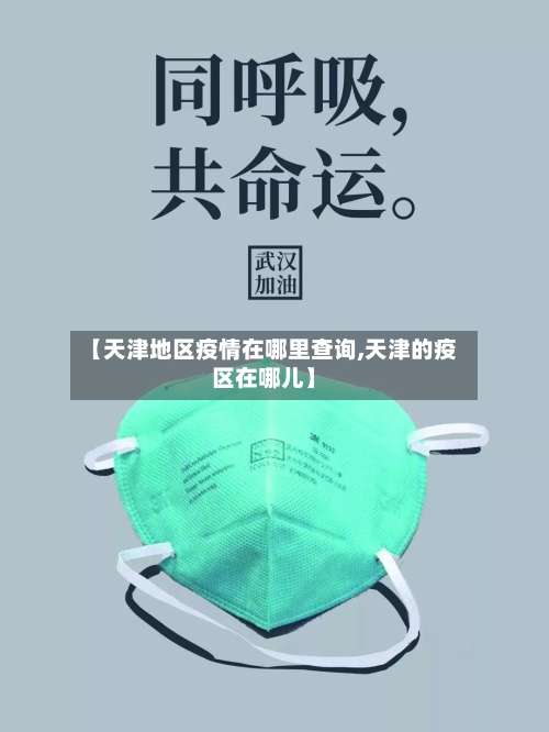 【天津地区疫情在哪里查询,天津的疫区在哪儿】-第2张图片