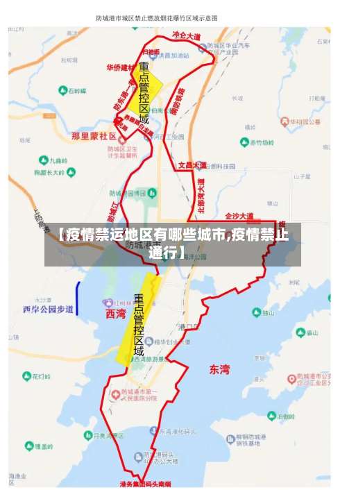 【疫情禁运地区有哪些城市,疫情禁止通行】-第1张图片