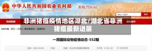 非洲猪瘟疫情地区湖北/湖北省非洲猪瘟最新进展-第1张图片