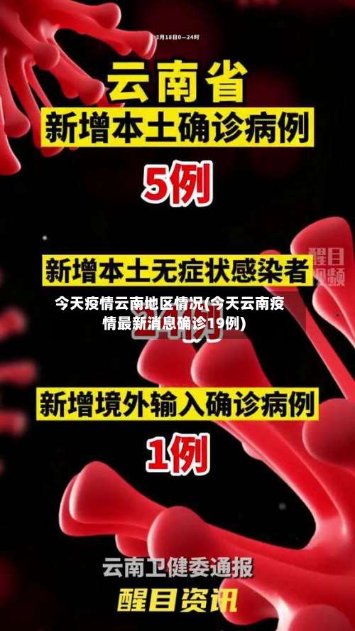 今天疫情云南地区情况(今天云南疫情最新消息确诊19例)-第1张图片