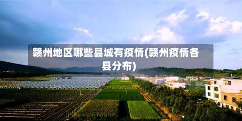 赣州地区哪些县城有疫情(赣州疫情各县分布)-第2张图片