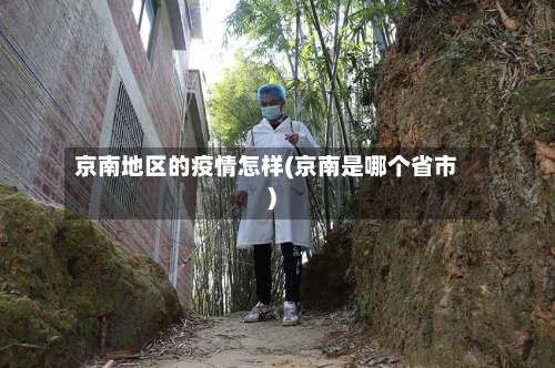 京南地区的疫情怎样(京南是哪个省市)-第2张图片