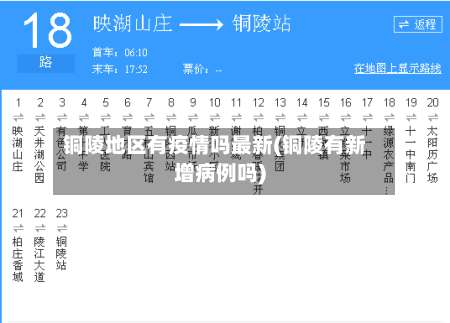 铜陵地区有疫情吗最新(铜陵有新增病例吗)-第1张图片