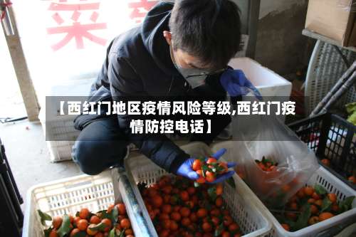 【西红门地区疫情风险等级,西红门疫情防控电话】-第1张图片