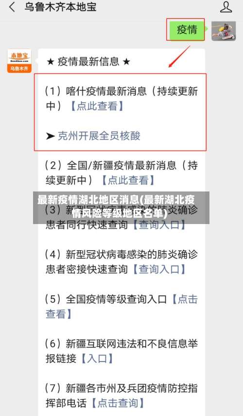 最新疫情湖北地区消息(最新湖北疫情风险等级地区名单)-第2张图片
