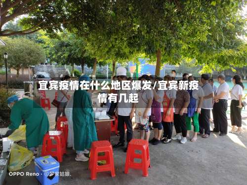 宜宾疫情在什么地区爆发/宜宾新疫情有几起-第1张图片