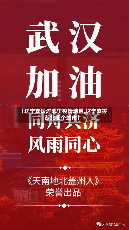 【辽宁支援过哪里疫情地区,辽宁支援湖北哪个城市】-第2张图片
