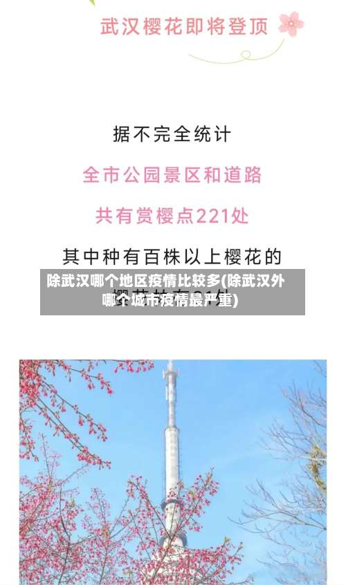 除武汉哪个地区疫情比较多(除武汉外哪个城市疫情最严重)-第2张图片