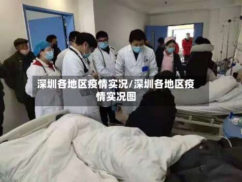 深圳各地区疫情实况/深圳各地区疫情实况图-第2张图片
