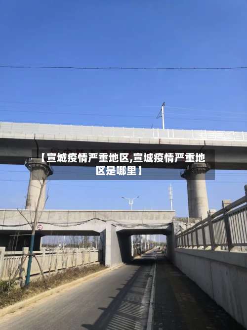 【宣城疫情严重地区,宣城疫情严重地区是哪里】-第3张图片