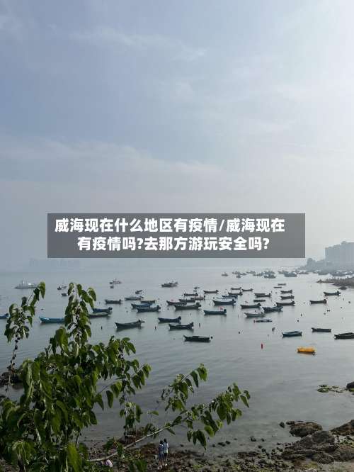 威海现在什么地区有疫情/威海现在有疫情吗?去那方游玩安全吗?-第1张图片