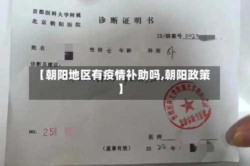 【朝阳地区有疫情补助吗,朝阳政策】-第2张图片