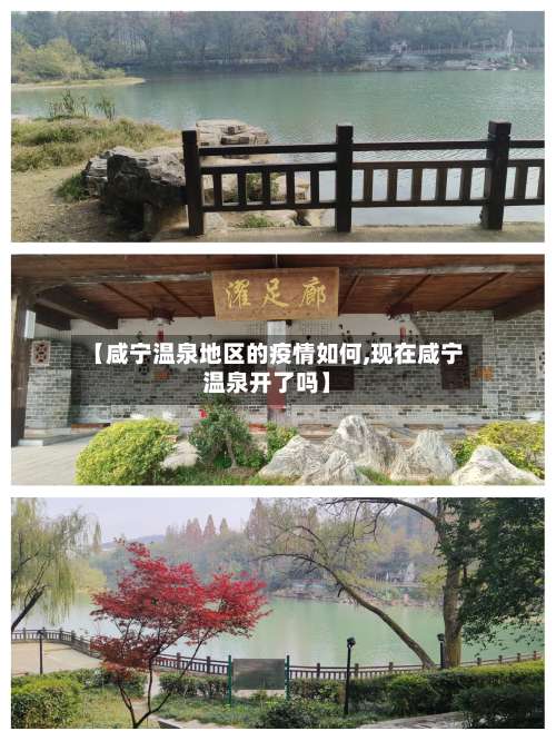 【咸宁温泉地区的疫情如何,现在咸宁温泉开了吗】-第1张图片