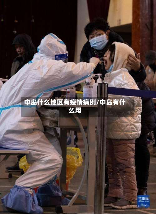 中岛什么地区有疫情病例/中岛有什么用-第2张图片