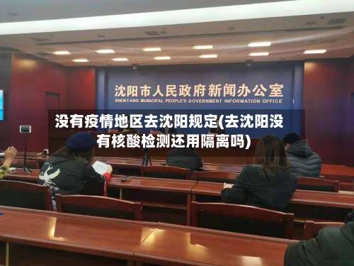 没有疫情地区去沈阳规定(去沈阳没有核酸检测还用隔离吗)-第3张图片
