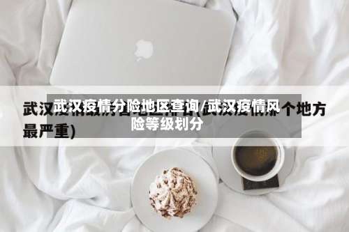 武汉疫情分险地区查询/武汉疫情风险等级划分-第1张图片